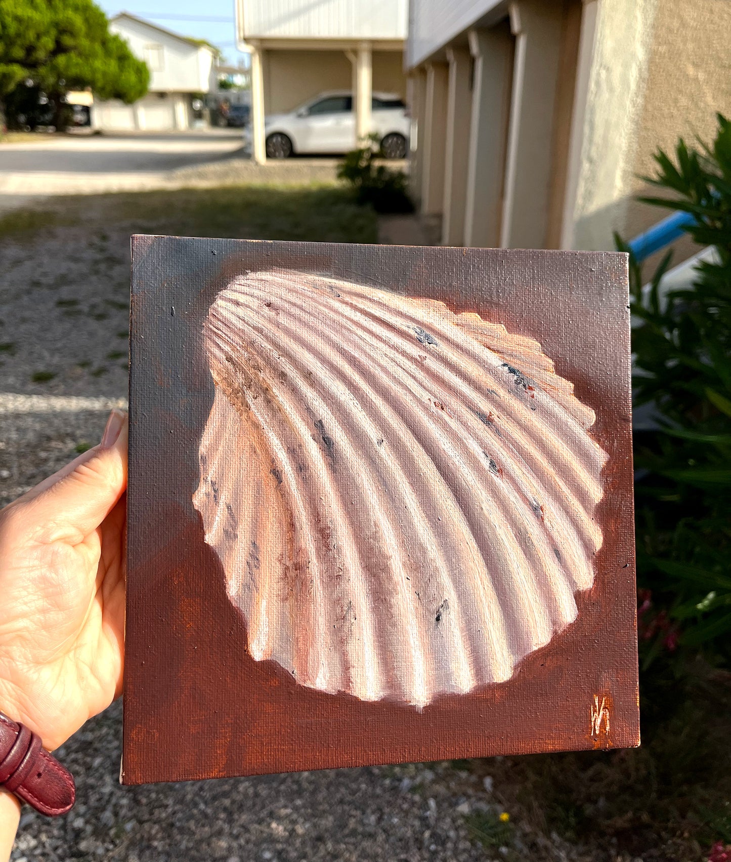 Peinture originale "Coqillage de Gruissan"