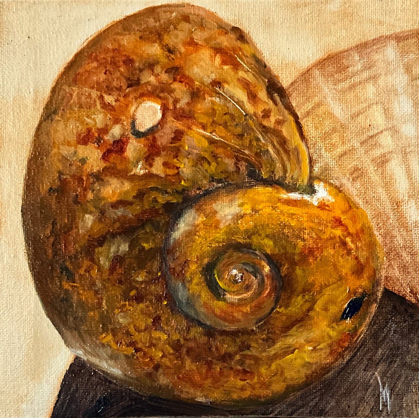 Peinture originale "Bulot coqillage de Gruissan"