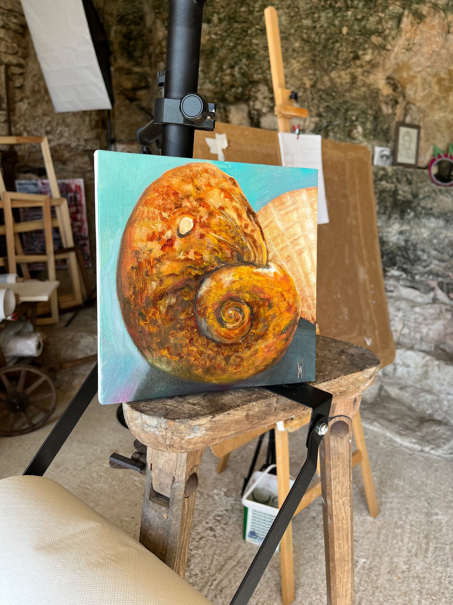 Peinture originale "Bulot coqillage de Gruissan"