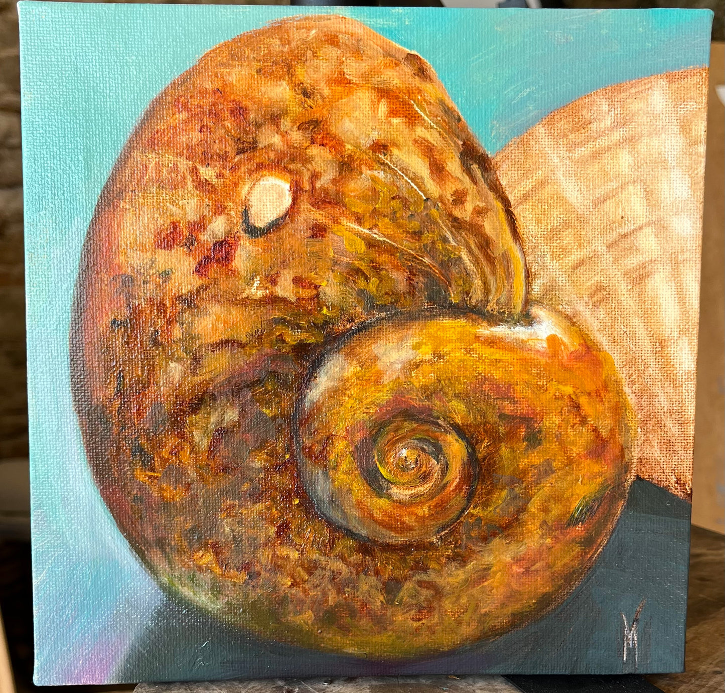 Peinture originale "Bulot coqillage de Gruissan"