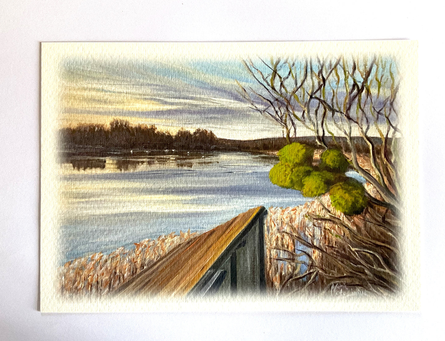 Carte postale - Lac de Marcenay