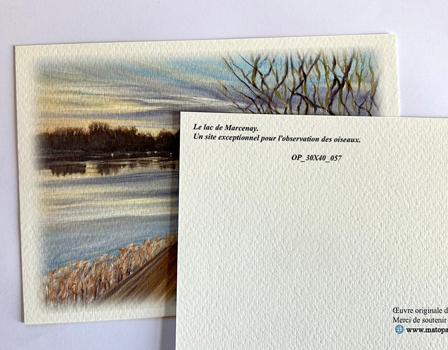 Carte postale - Lac de Marcenay