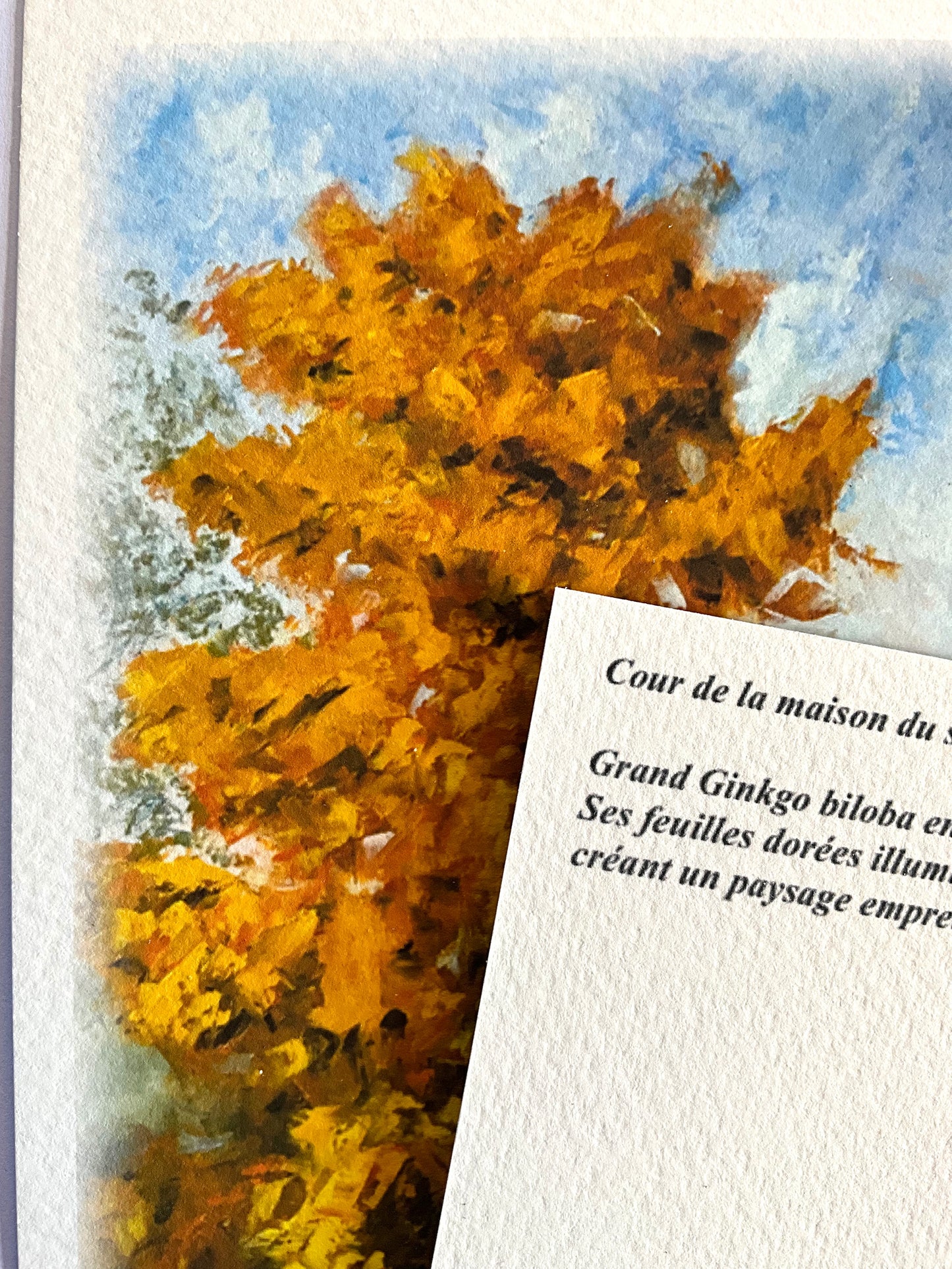 Carte postale - Ginkgo biloba doré, Châtillon-sur-Seine
